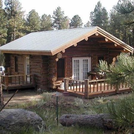 Renegade Log Cabin كاستر المظهر الخارجي الصورة